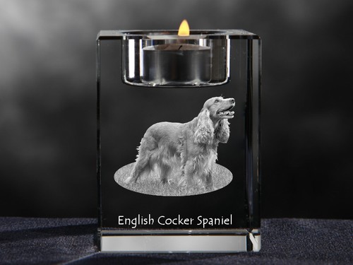Cocker spaniel inglese - cocker,