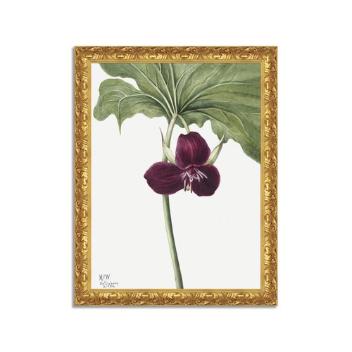 Quadro stampa tela effetto - stampa, su