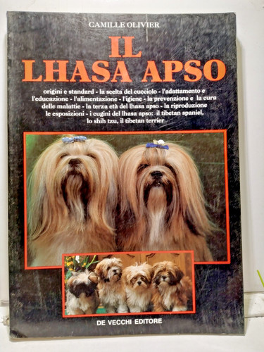 Lhasa apso origini e - lhasa,