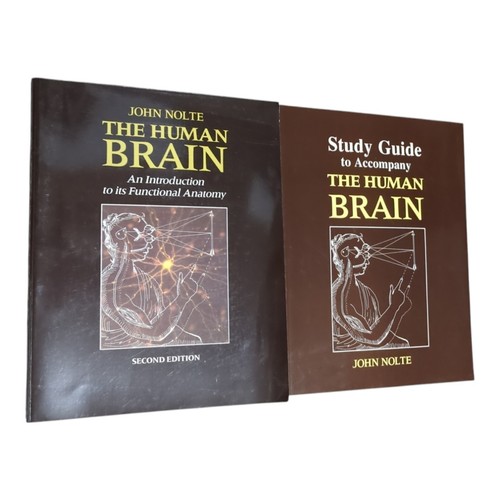 The human brain an - brain,