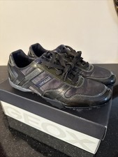NEW with Box Geox Shiny