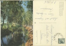 MANFREDONIA -FOGGIA -LIDO DI