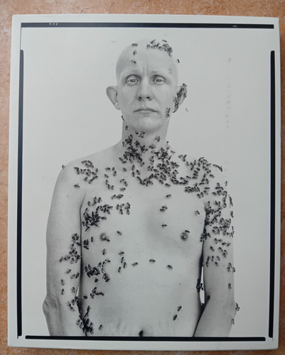 Richard avedon porträts - richard,