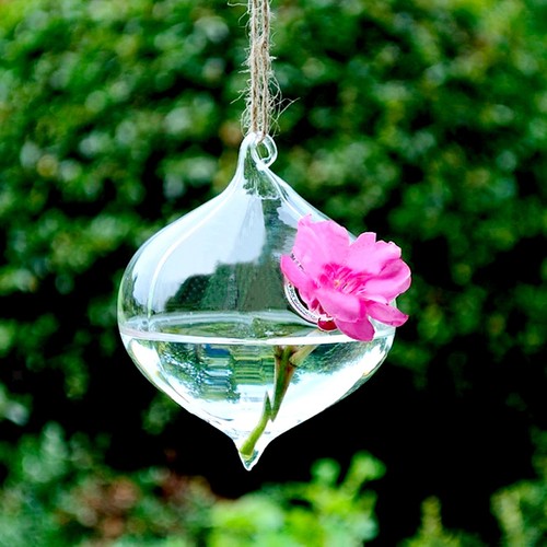 Vaso per piante vetro - piante, in