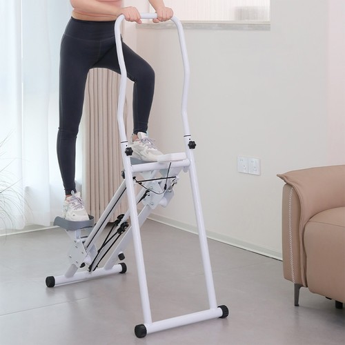 Stepper per scale