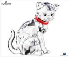 Swarovski GATTO MADRE 1193526  - alta 2" - nuova con scatola-