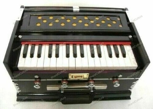 Strumento musicale indiano