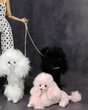 Animale domestico cane in