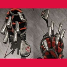 Set Ferri Wison Staff Di9 (da P a 5) + FYbrid 19.5°. Graphite Regular Shaft.