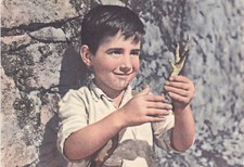 CINEMA - Marcellino Pane e Vino, Pablito Calvo, Cartolina Villaggio Fanciullo 4