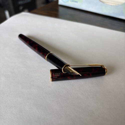 Penna stilografica parker - stilografica,