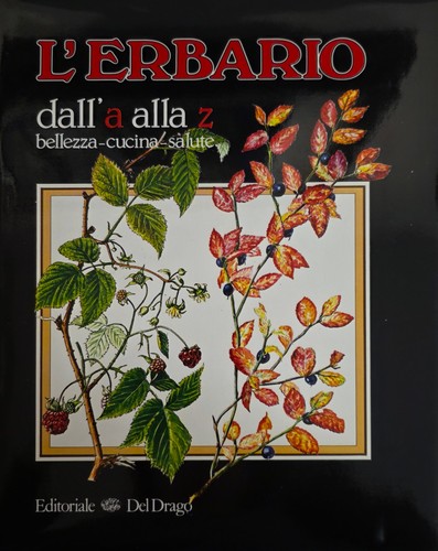 Spizzotin pierantonio cura - pierantonio,