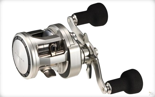 Daiwa mulinello casting - mulinello, ryoga
