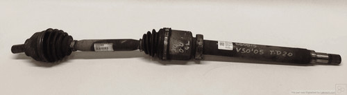 30681131 semialbero ant - semialbero,