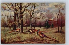 50706754 - Fasane AKU2