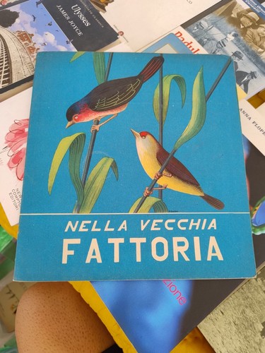 Nella vecchia fattoria - nella,