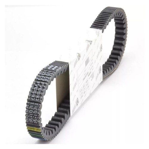 Cinghia trasmissione originale - cinghia,