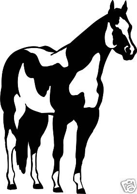 Vernice cavallo equitazione - vernice,