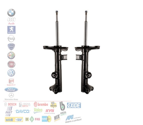 Coppia ammortizzatori - 2,