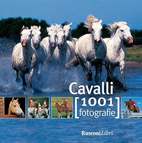 Cavalli book the fast free - cavalli,