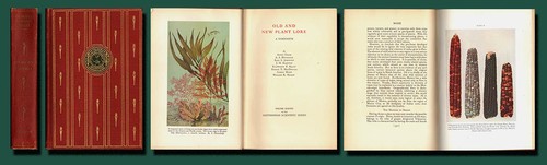 1934 botany agriculture - botany;,