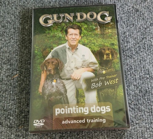 Gun dog pointing dogs advanced - gun,