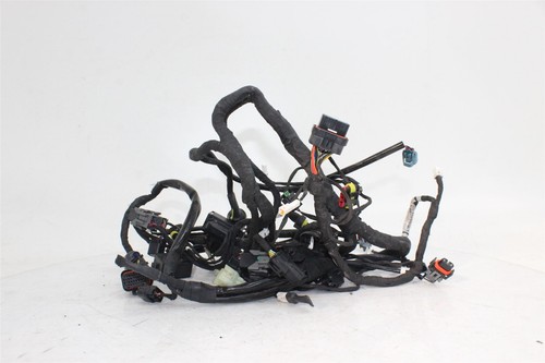 Cablaggio principale ducati - cablaggio,