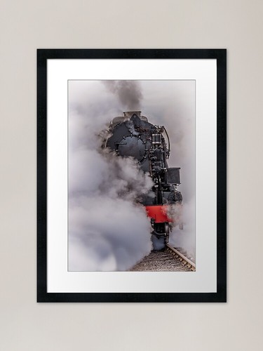 Locomotore che emerge dal