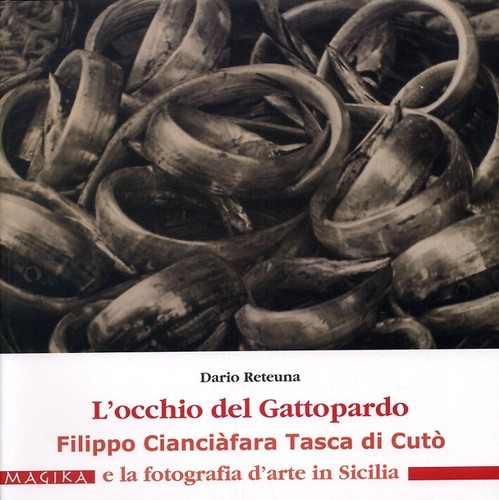 Occhio del gattopardo - l'occhio,