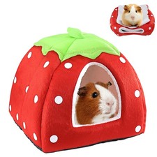 Casetta Porcellino D india