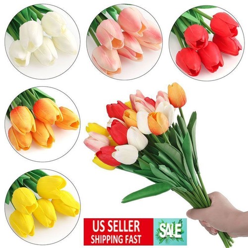 Pezzi tulipani - 25,