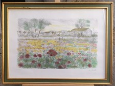 Michele Cascella ( 1892-1989) Litografia Acquerellata LXXXIII/C campo Fiorito 