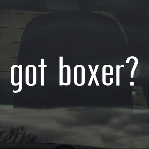 Hai boxer adesivo - boxer?,
