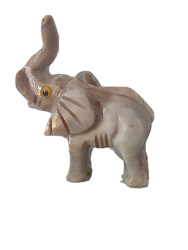 Minerali animali elefante