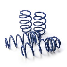 H&R 29386-1 Trim Springs Kit