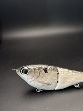 Custom Painted Glide Bait 5