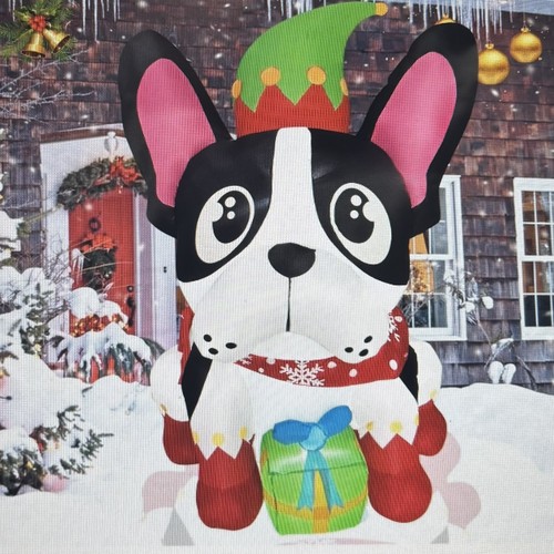 Elfo natale boston terrier - elfo,