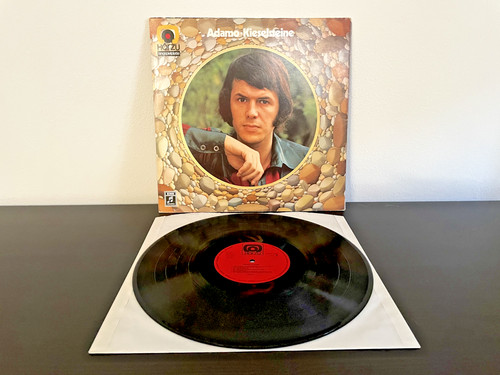 Vinile giri adamo - vinile,