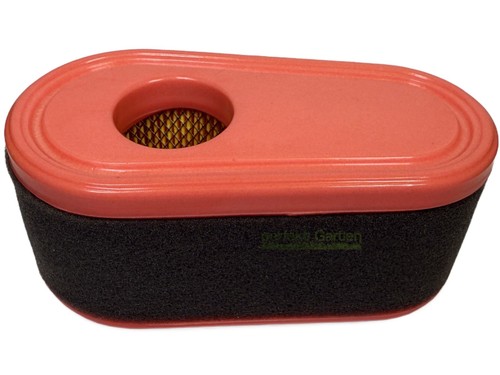 Filtro aria per - loncin, lc1p75f