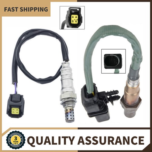 Oxygen sensors for - sensors,