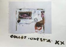 Collezionista Mario Schifano