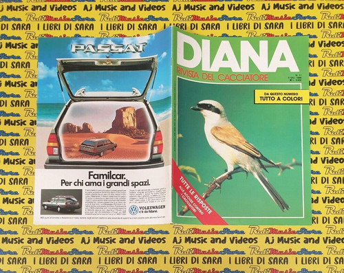 Rivista magazine del - rivista,
