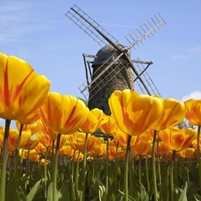 Olanda Kranenburg Holland 3-6