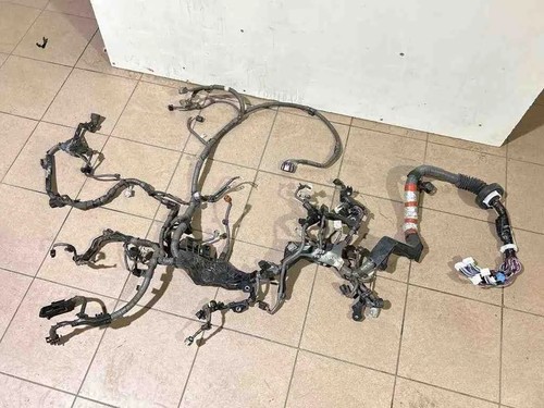 Cablaggio motore toyota land - motore,