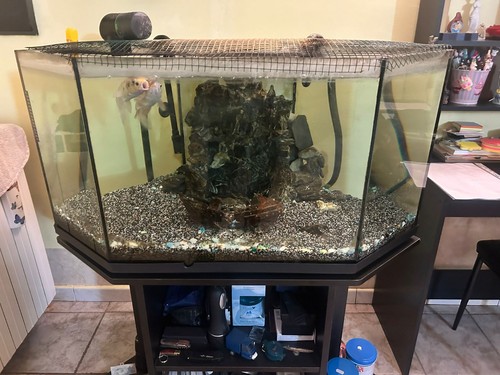 Acquario 250 raro forma - acquario, lt