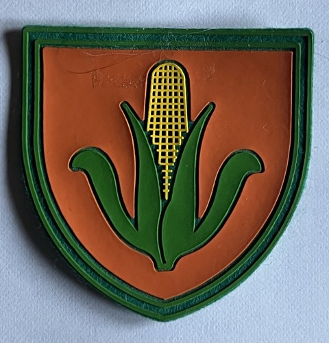 Cngei scout distintivo - distintivo, di