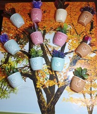 MAGNETE CALAMITA FRIGO VASO IN