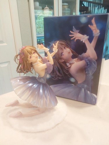 Ballerina grigia anatroccolo