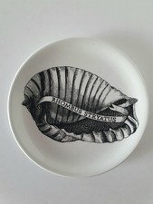 Fornasetti Milano ceramica Rhombus Stryatus serie Conchyliorum 1950 1960