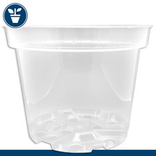 1 X Pot Orchidea Trasparente